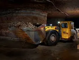 Imagem de Aluguel de Mini Carregadeira