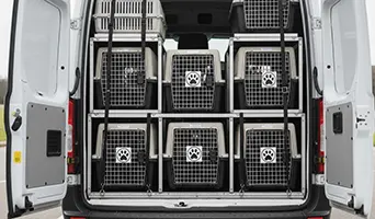 Imagem de Transporte de Animais